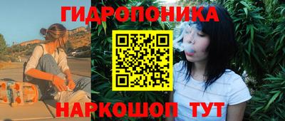 винт Дубна