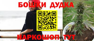 винт Дубна