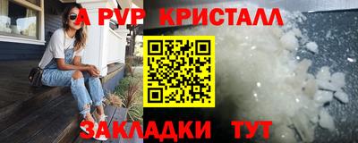 прущие грибы Донской