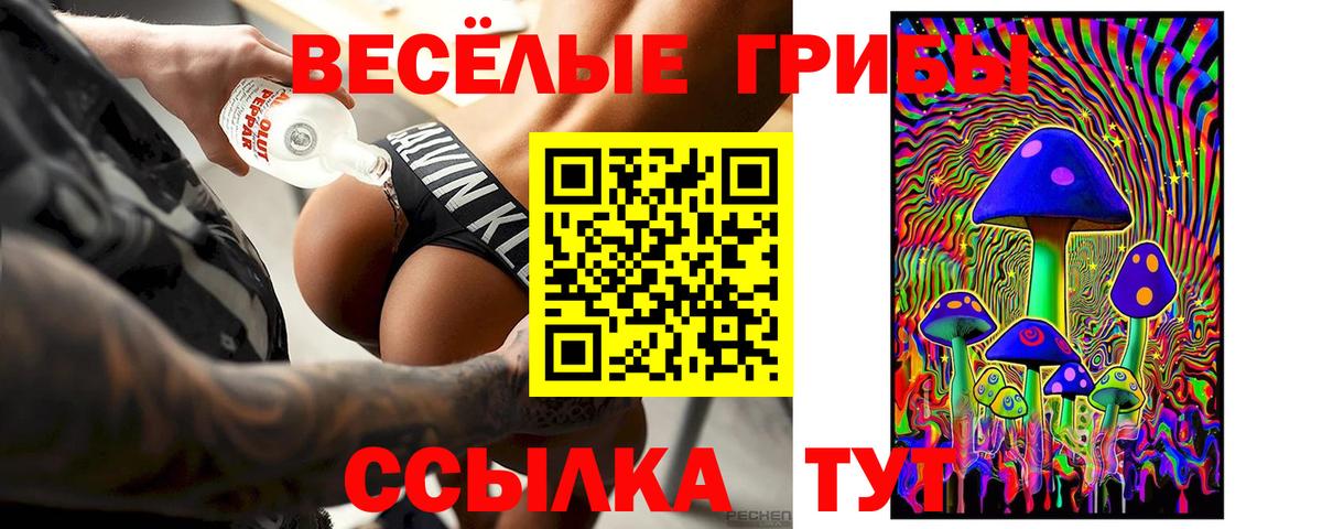 Галлюциногенные грибы Magic Shrooms Шелехов