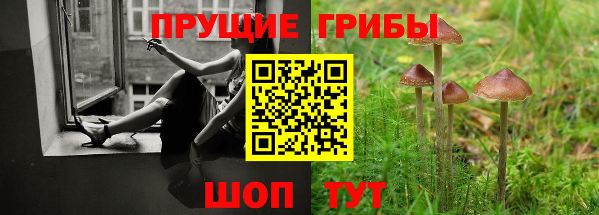 Псилоцибиновые грибы мухоморы  как найти   Шелехов  Вход с VPN 